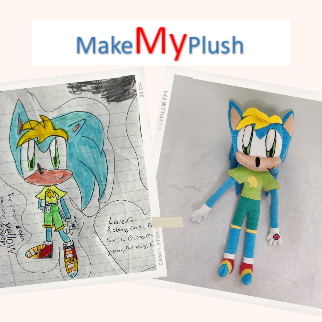 Sonic the Hedgehog Drawing and Pictures into Custom Stuffed Animal Plush Toys