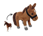 Pet or Animal Pictures into Own Custom Plush Toys