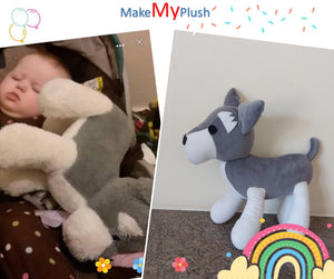 Turn Old, Lost or Damaged Plushies into Custom Plush